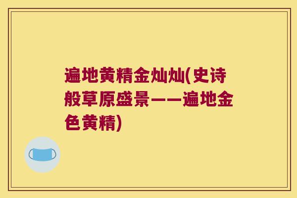 遍地黄精金灿灿(史诗般草原盛景——遍地金色黄精)