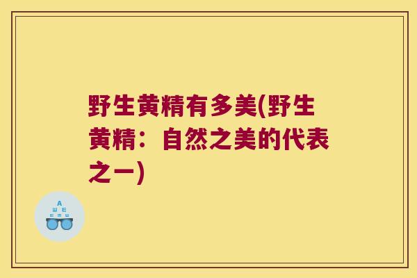 野生黄精有多美(野生黄精:自然之美的代表之一) 野生黄精有多美(野生黄精:自然之美的代表之一)