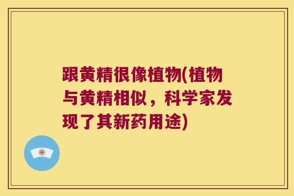 跟黄精很像植物(植物与黄精相似,科学家发现了其新药用途) 跟黄精很像植物(植物与黄精相似,科学家发现了其新药用途)