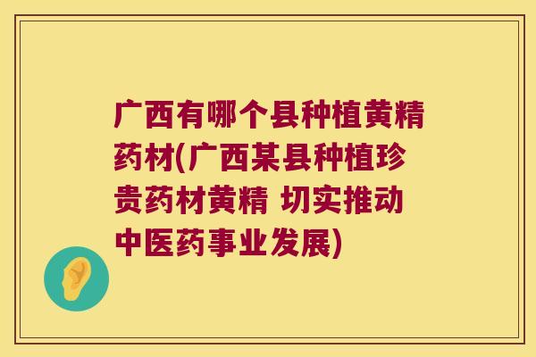 广西有哪个县种植黄精药材(广西某县种植珍贵药材黄精 切实推动中医药事业发展)