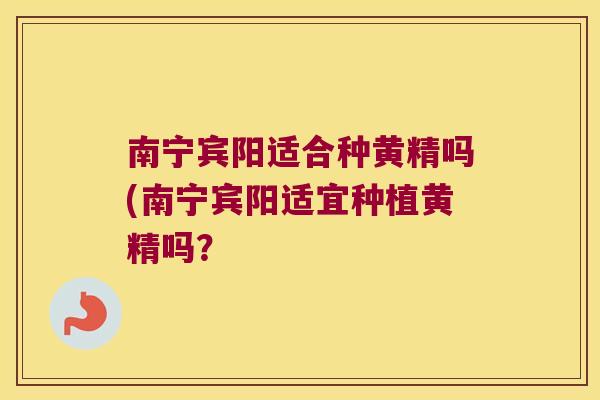 南宁宾阳适合种黄精吗(南宁宾阳适宜种植黄精吗？