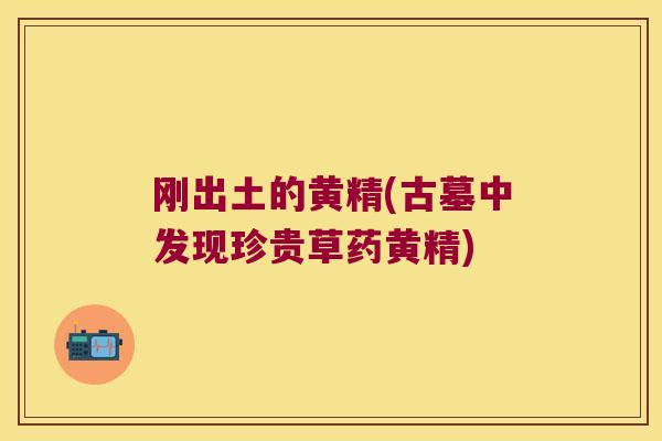 刚出土的黄精(古墓中发现珍贵草药黄精) 刚出土的黄精(古墓中发现珍贵草药黄精)