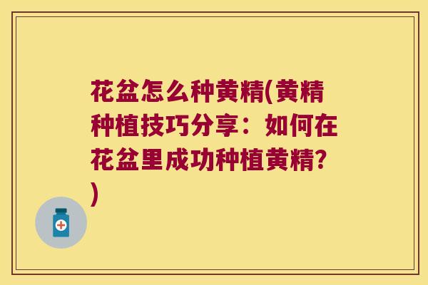 花盆怎么种黄精(黄精种植技巧分享:如何在花盆里成功种植黄精?) 花盆怎么种黄精(黄精种植技巧分享:如何在花盆里成功种植黄精?)