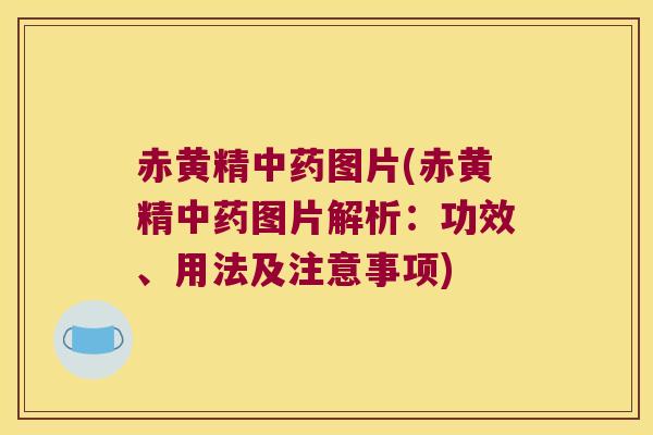 赤黄精图片(赤黄精图片解析：功效、用法及注意事项)