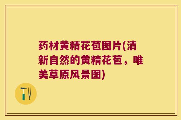 药材黄精花苞图片(清新自然的黄精花苞,唯美草原风景图) 药材黄精花苞图片(清新自然的黄精花苞,唯美草原风景图)