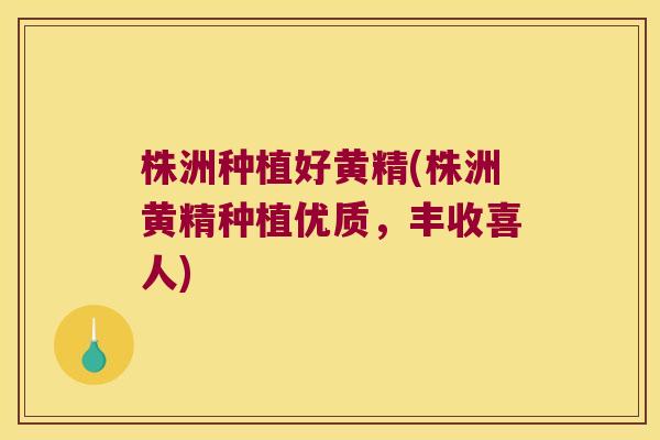株洲种植好黄精(株洲黄精种植优质，丰收喜人)