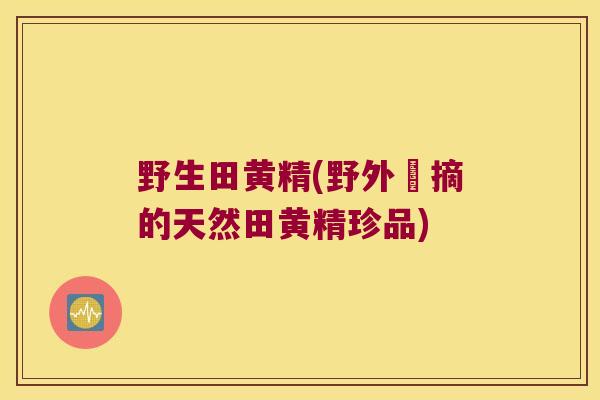 野生田黄精(野外採摘的天然田黄精珍品) 野生田黄精(野外採摘的天然田黄精珍品)