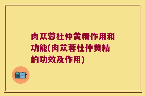 肉苁蓉杜仲黄精作用和功能(肉苁蓉杜仲黄精的功效及作用)