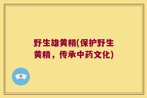野生雄黄精(保护野生黄精，传承文化)