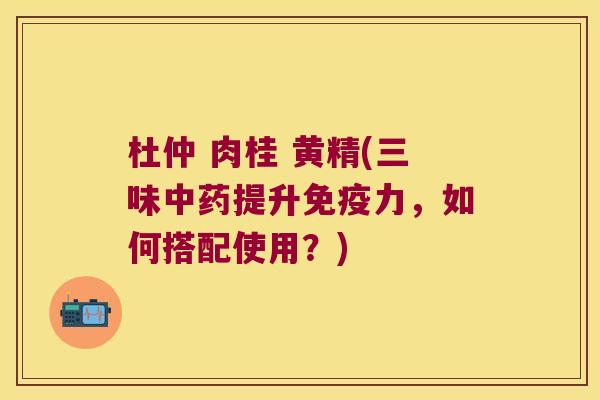 杜仲 肉桂 黄精(三味提升力，如何搭配使用？)