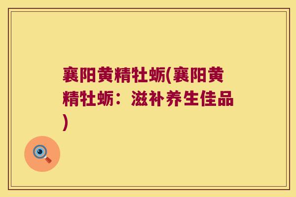 襄阳黄精牡蛎(襄阳黄精牡蛎：滋补养生佳品)