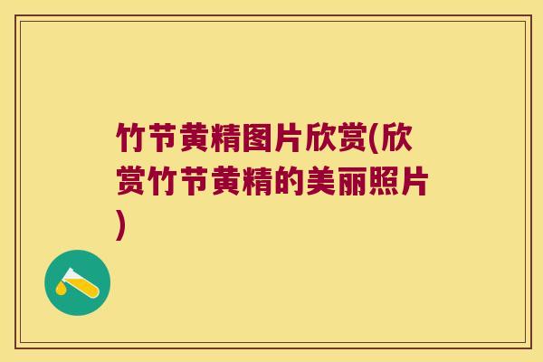 竹节黄精图片欣赏(欣赏竹节黄精的美丽照片)