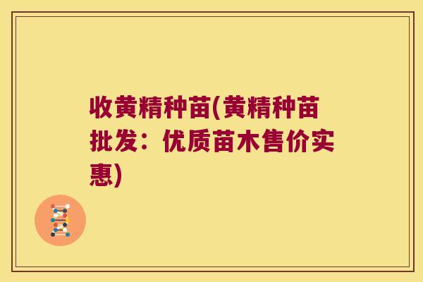 收黄精种苗(黄精种苗批发：优质苗木售价实惠)