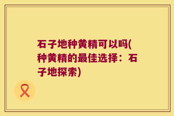 石子地种黄精可以吗(种黄精的佳选择：石子地探索)