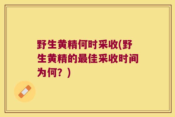 野生黄精何时采收(野生黄精的佳采收时间为何？)