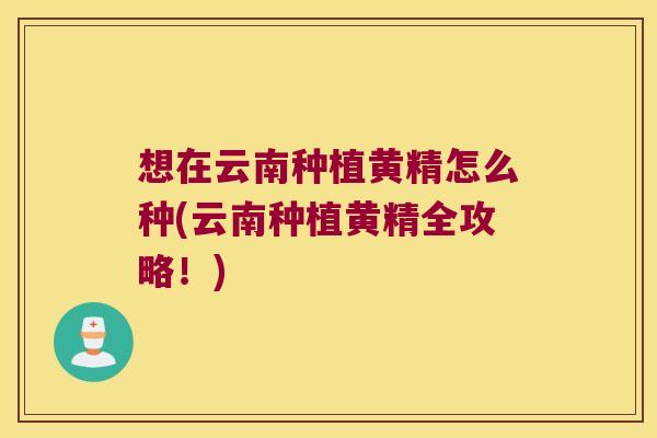 想在云南种植黄精怎么种(云南种植黄精全攻略！)