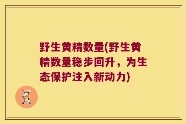 野生黄精数量(野生黄精数量稳步回升，为生态保护注入新动力)
