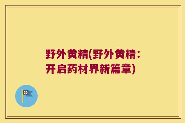 野外黄精(野外黄精：开启药材界新篇章)