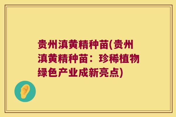 贵州滇黄精种苗(贵州滇黄精种苗:珍稀植物绿色产业成新亮点) 贵州滇黄精种苗(贵州滇黄精种苗:珍稀植物绿色产业成新亮点)