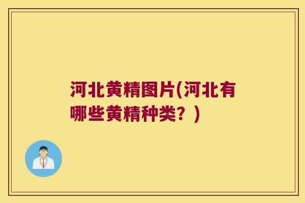 河北黄精图片(河北有哪些黄精种类？)