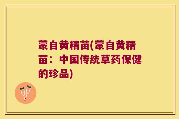 蒙自黄精苗(蒙自黄精苗：中国传统草药保健的珍品)