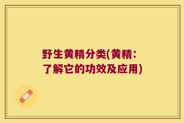 野生黄精分类(黄精：了解它的功效及应用)
