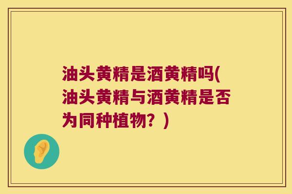 油头黄精是酒黄精吗(油头黄精与酒黄精是否为同种植物？)