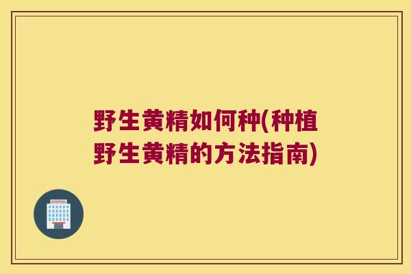野生黄精如何种(种植野生黄精的方法指南)