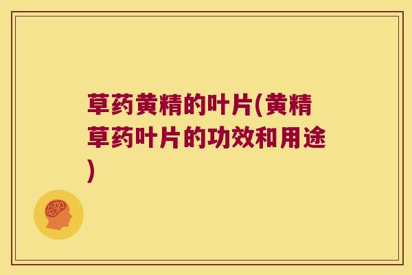 草药黄精的叶片(黄精草药叶片的功效和用途)