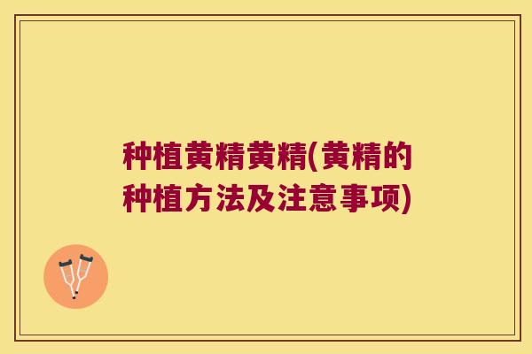 种植黄精黄精(黄精的种植方法及注意事项)
