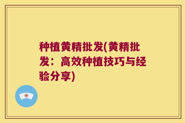 种植黄精批发(黄精批发：高效种植技巧与经验分享)