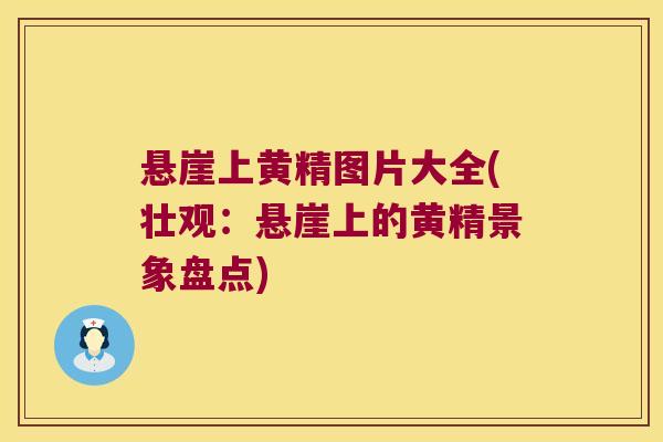 悬崖上黄精图片大全(壮观：悬崖上的黄精景象盘点)