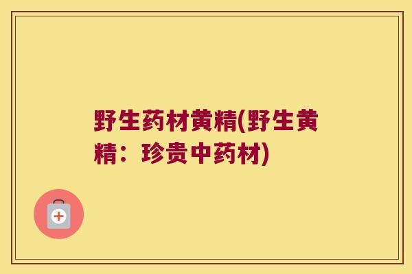 野生药材黄精(野生黄精:珍贵材) 野生药材黄精(野生黄精:珍贵材)
