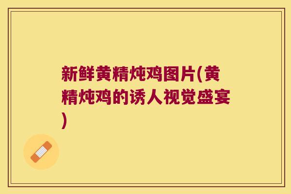 新鲜黄精炖鸡图片(黄精炖鸡的诱人视觉盛宴)