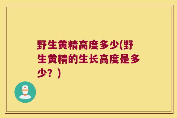 野生黄精高度多少(野生黄精的生长高度是多少？)