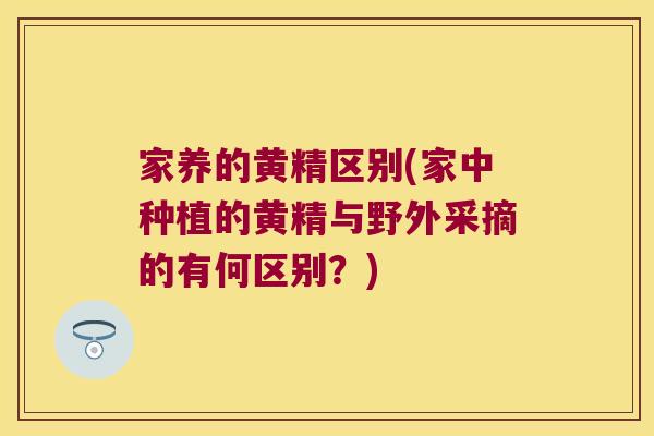 家养的黄精区别(家中种植的黄精与野外采摘的有何区别?) 家养的黄精区别(家中种植的黄精与野外采摘的有何区别?)