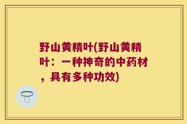 野山黄精叶(野山黄精叶：一种神奇的材，具有多种功效)