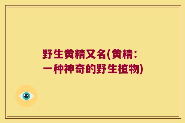 野生黄精又名(黄精：一种神奇的野生植物)