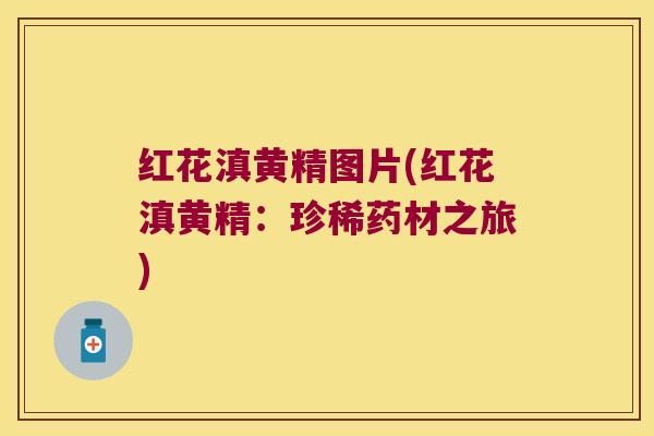 红花滇黄精图片(红花滇黄精：珍稀药材之旅)