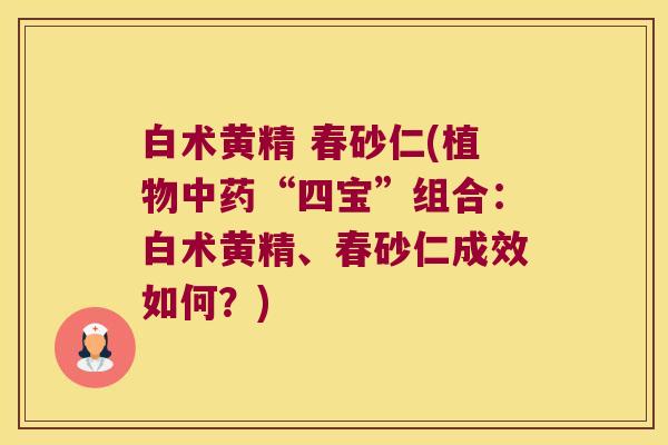 白术黄精 春砂仁(植物“四宝”组合:白术黄精、春砂仁成效如何?) 白术黄精 春砂仁(植物“四宝”组合:白术黄精、春砂仁成效如何?)