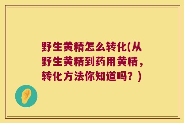 野生黄精怎么转化(从野生黄精到药用黄精,转化方法你知道吗?) 野生黄精怎么转化(从野生黄精到药用黄精,转化方法你知道吗?)