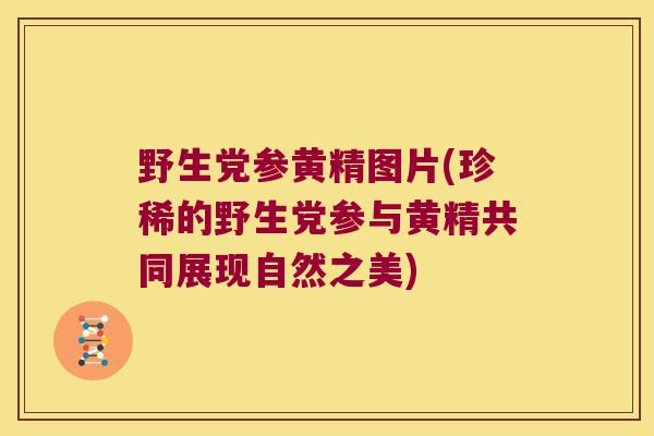 野生党参黄精图片(珍稀的野生党参与黄精共同展现自然之美) 野生党参黄精图片(珍稀的野生党参与黄精共同展现自然之美)