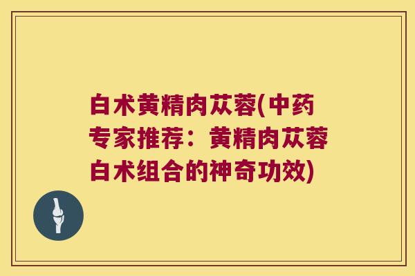 白术黄精肉苁蓉(专家推荐：黄精肉苁蓉白术组合的神奇功效)