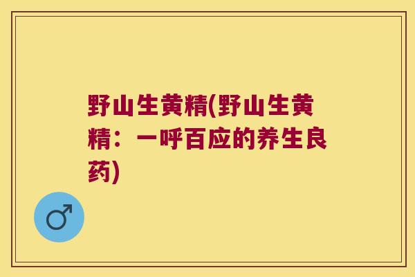 野山生黄精(野山生黄精：一呼百应的养生良药)