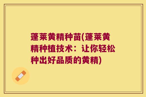 蓬莱黄精种苗(蓬莱黄精种植技术:让你轻松种出好品质的黄精) 蓬莱黄精种苗(蓬莱黄精种植技术:让你轻松种出好品质的黄精)