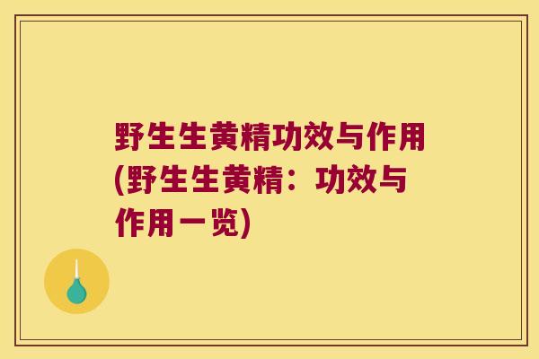 野生生黄精功效与作用(野生生黄精：功效与作用一览)