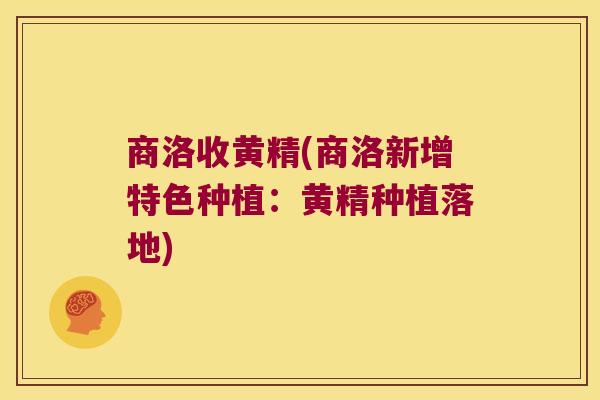 商洛收黄精(商洛新增特色种植:黄精种植落地) 商洛收黄精(商洛新增特色种植:黄精种植落地)