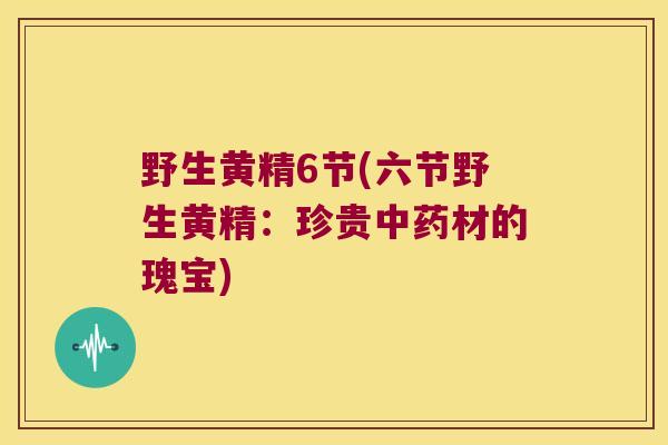 野生黄精6节(六节野生黄精:珍贵材的瑰宝) 野生黄精6节(六节野生黄精:珍贵材的瑰宝)