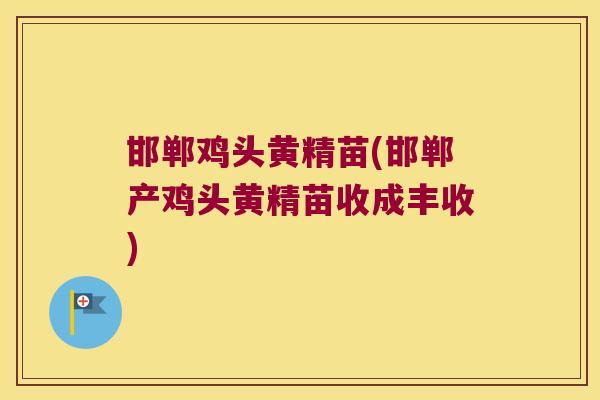 邯郸鸡头黄精苗(邯郸产鸡头黄精苗收成丰收)