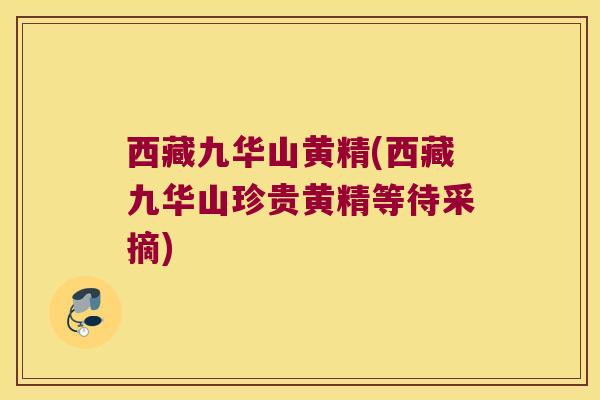 西藏九华山黄精(西藏九华山珍贵黄精等待采摘)